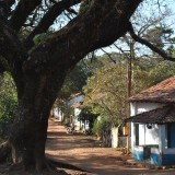 portorural_7remmus_museologiasocial-42