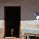 portorural_7remmus_museologiasocial-51