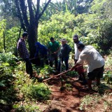 mutirinho_2020-02-16--106db8981abd5dcfb1