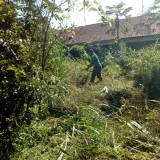 mutirinho_2020-02-16--15d4e93567c071a8b