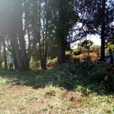 mutirinho_2020-02-16--26c4ff6a8afd0e612