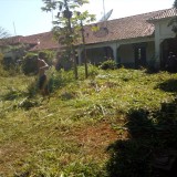 mutirinho_2020-02-16--948140568a8c264c6